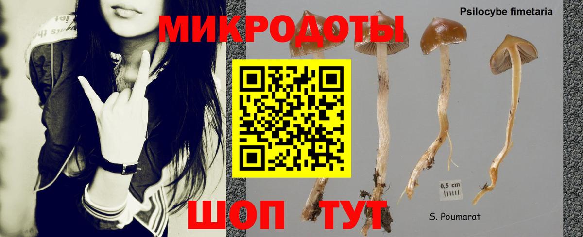 Псилоцибиновые грибы Cubensis  Вход с VPN  даркнет сайт  Губкинский 